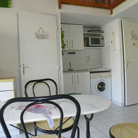 Appartement Avec Et Mezzanine A Proximite De La Agde