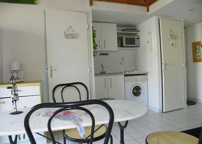 Appartement Avec Et Mezzanine A Proximite De La Agde