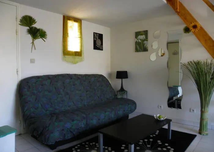 Appartement Avec Et Mezzanine A Proximite De La *